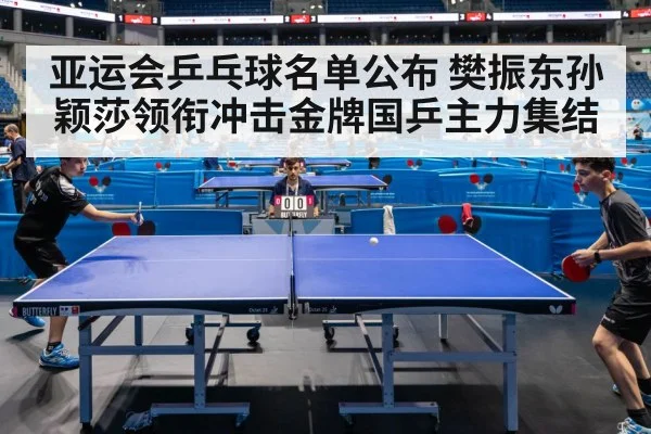 table tennis competition arena