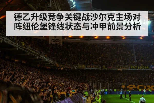 德乙升级竞争关键战沙尔克主场对阵纽伦堡锋线状态与冲甲前景分析（kaiyunsports）