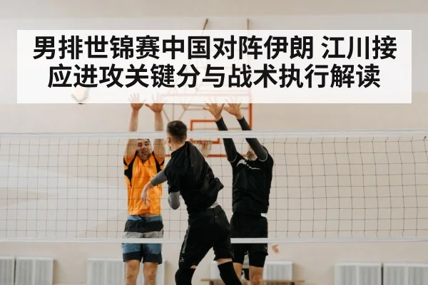 volleyball net block